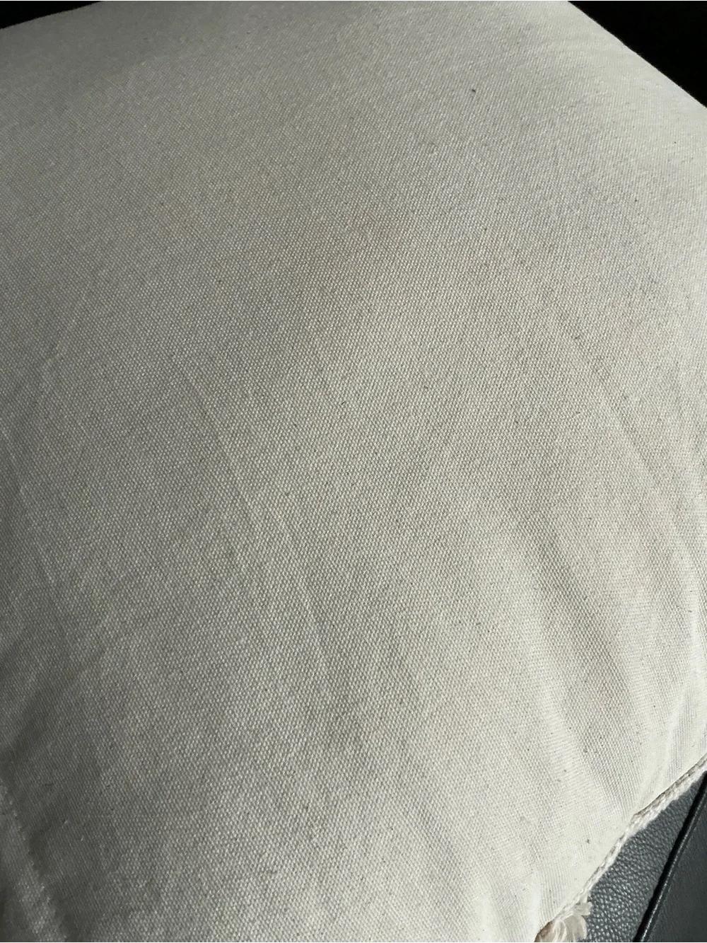 Textured Tassel Throw Pillow - Cream Accent